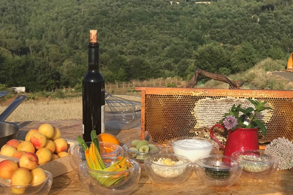 can mauri alimentos dieta mediterranea